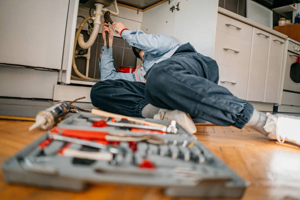 Best Toilet Repair Services  in Mapleton, IA