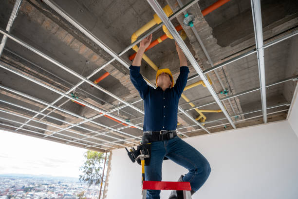 Best Plumbing Services Near Me  in Mapleton, IA