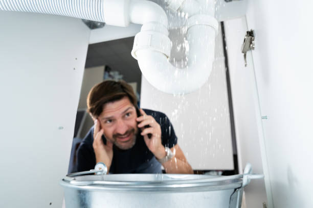 Best Residential Plumbing Services  in Mapleton, IA