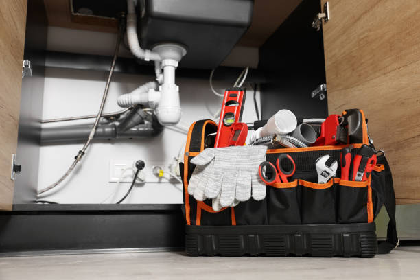 Best Plumbing Inspection Services  in Mapleton, IA