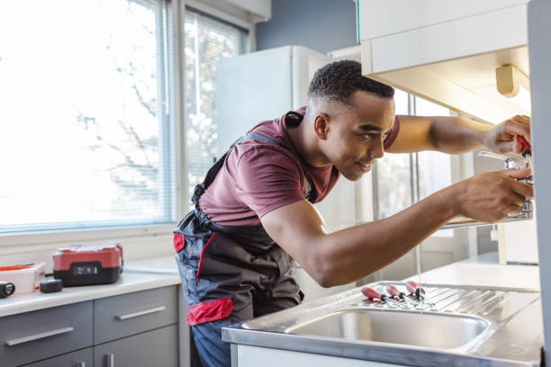 Best Toilet Repair Services  in Mapleton, IA