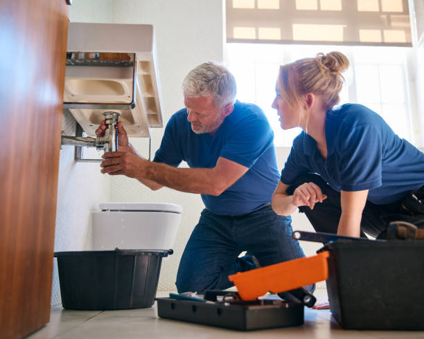 Best Sewer Line Repair  in Mapleton, IA