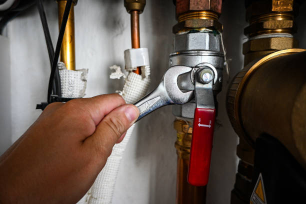 Best Sprinkler Systems  in Mapleton, IA